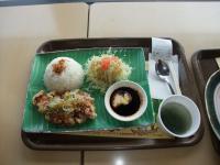 DSCF0673
