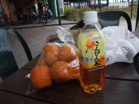 DSCF0780.jpg